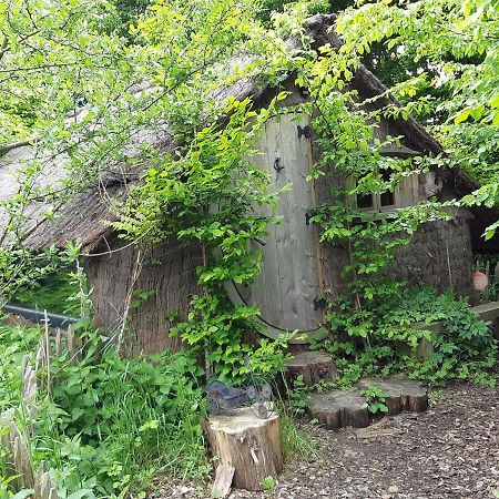 Cabane D'Augustin Saint-Augustin  エクステリア 写真