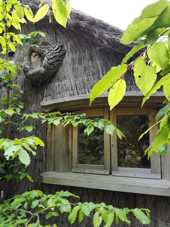 Cabane D'Augustin Saint-Augustin  エクステリア 写真