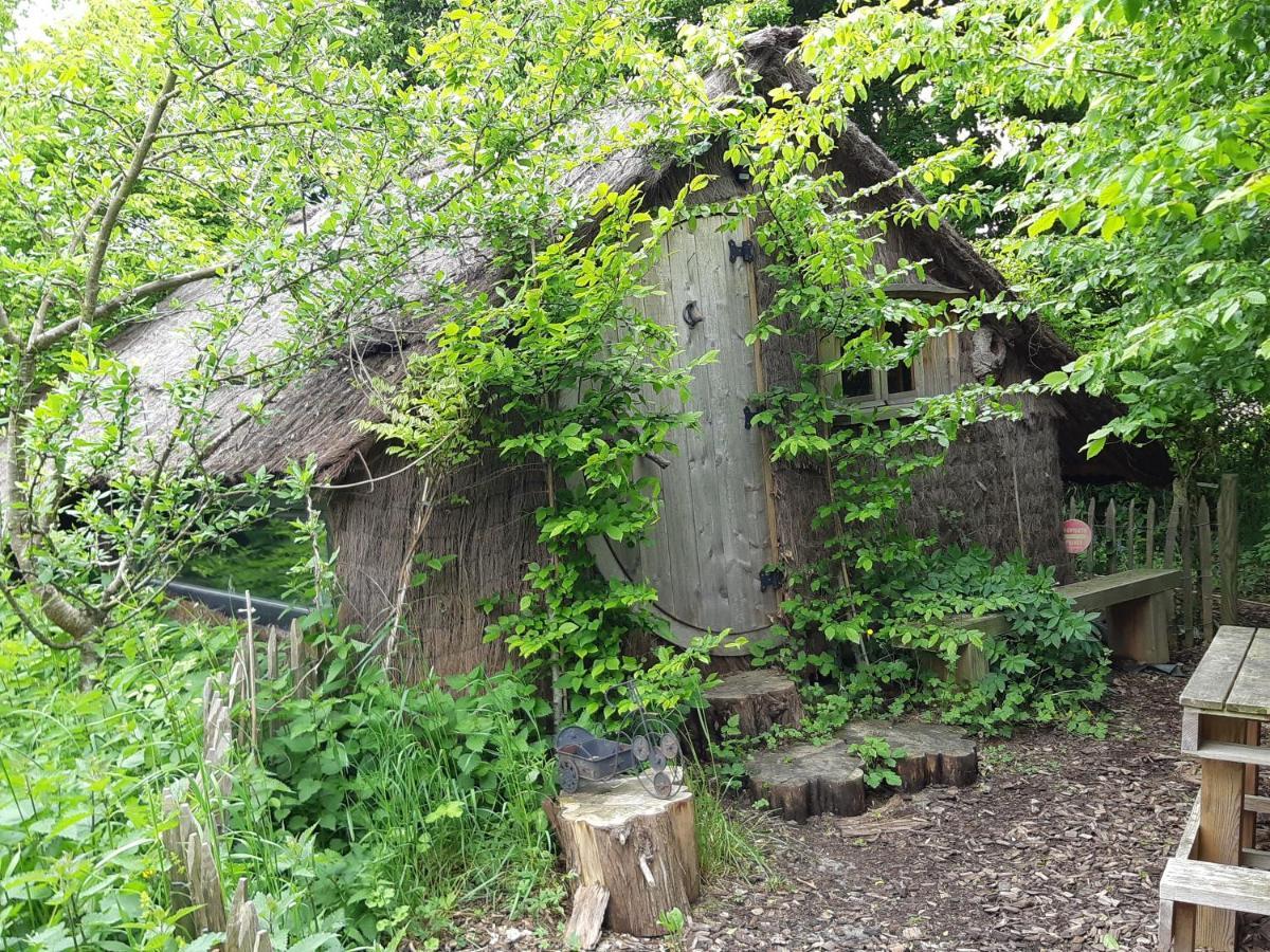 Cabane D'Augustin Saint-Augustin  エクステリア 写真
